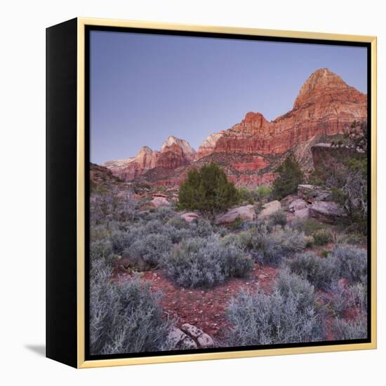 Bridge Mountain, Zion National Park, Utah, Usa-Rainer Mirau-Framed Premier Image Canvas