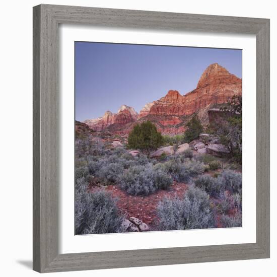 Bridge Mountain, Zion National Park, Utah, Usa-Rainer Mirau-Framed Photographic Print