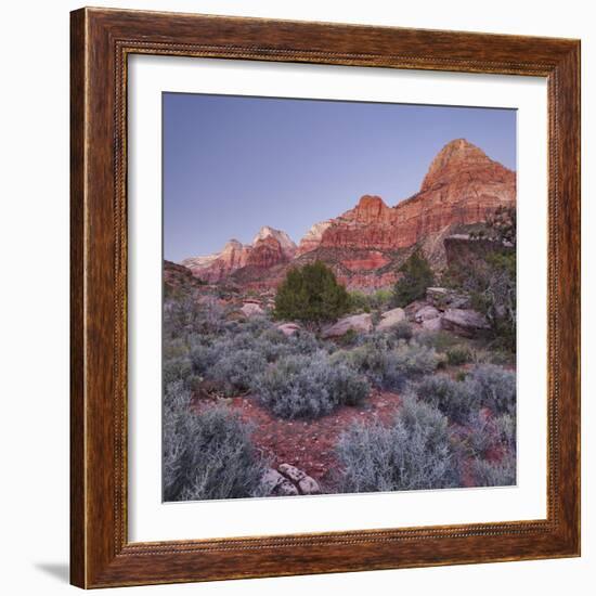 Bridge Mountain, Zion National Park, Utah, Usa-Rainer Mirau-Framed Photographic Print