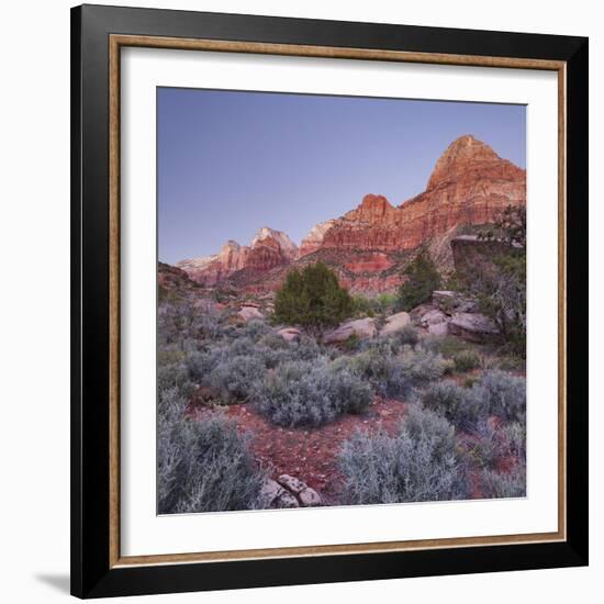 Bridge Mountain, Zion National Park, Utah, Usa-Rainer Mirau-Framed Photographic Print