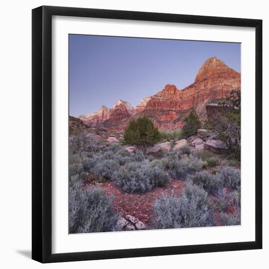 Bridge Mountain, Zion National Park, Utah, Usa-Rainer Mirau-Framed Photographic Print