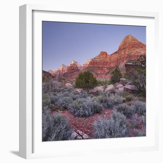 Bridge Mountain, Zion National Park, Utah, Usa-Rainer Mirau-Framed Photographic Print