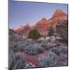 Bridge Mountain, Zion National Park, Utah, Usa-Rainer Mirau-Mounted Photographic Print