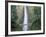 Bridge, Multnomah Falls, Columbia Gorge, Oregon, USA-Walter Bibikow-Framed Photographic Print