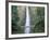 Bridge, Multnomah Falls, Columbia Gorge, Oregon, USA-Walter Bibikow-Framed Photographic Print