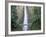 Bridge, Multnomah Falls, Columbia Gorge, Oregon, USA-Walter Bibikow-Framed Photographic Print