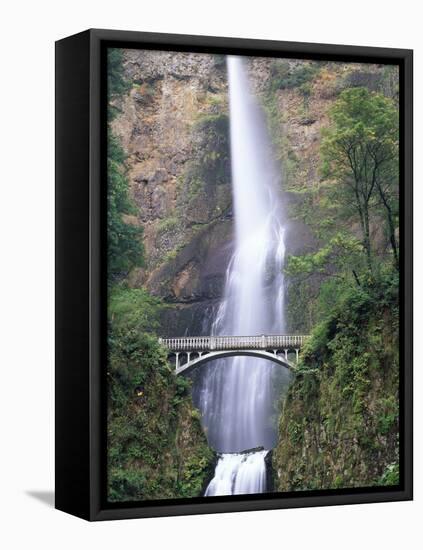 Bridge, Multnomah Falls, Columbia Gorge, Oregon, USA-Walter Bibikow-Framed Premier Image Canvas