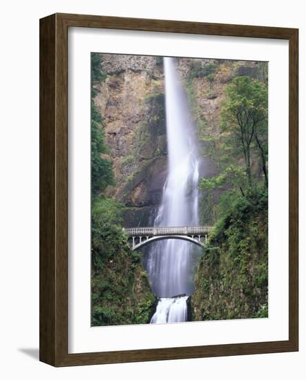 Bridge, Multnomah Falls, Columbia Gorge, Oregon, USA-Walter Bibikow-Framed Photographic Print