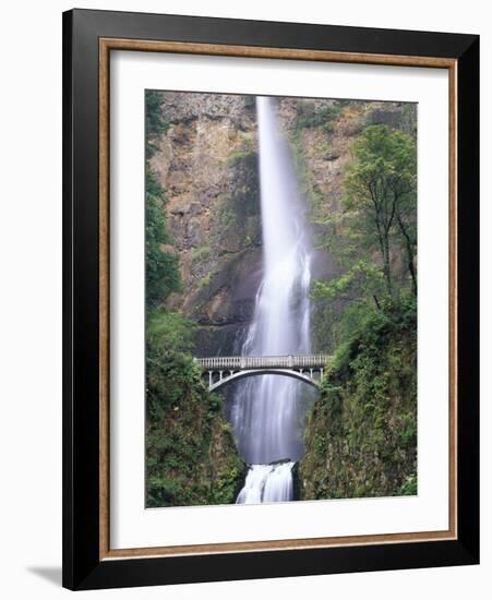 Bridge, Multnomah Falls, Columbia Gorge, Oregon, USA-Walter Bibikow-Framed Photographic Print