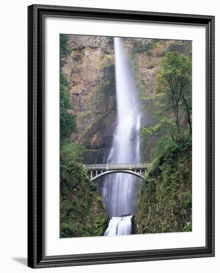 Bridge, Multnomah Falls, Columbia Gorge, Oregon, USA-Walter Bibikow-Framed Photographic Print