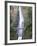 Bridge, Multnomah Falls, Columbia Gorge, Oregon, USA-Walter Bibikow-Framed Photographic Print