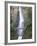 Bridge, Multnomah Falls, Columbia Gorge, Oregon, USA-Walter Bibikow-Framed Photographic Print