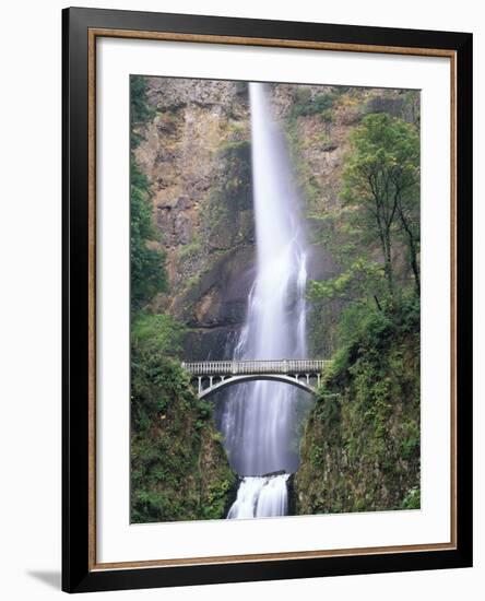 Bridge, Multnomah Falls, Columbia Gorge, Oregon, USA-Walter Bibikow-Framed Photographic Print