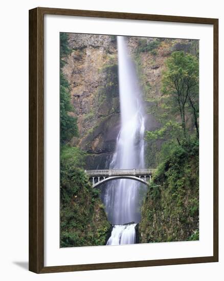 Bridge, Multnomah Falls, Columbia Gorge, Oregon, USA-Walter Bibikow-Framed Photographic Print