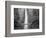 Bridge, Multnomah Falls, Columbia Gorge, Oregon, USA-Walter Bibikow-Framed Photographic Print