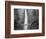 Bridge, Multnomah Falls, Columbia Gorge, Oregon, USA-Walter Bibikow-Framed Photographic Print