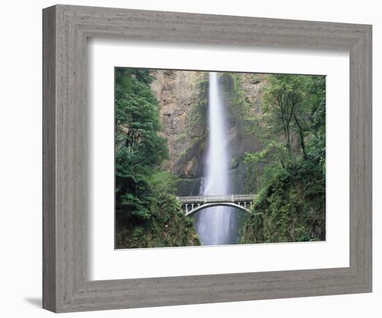 Bridge, Multnomah Falls, Columbia Gorge, Oregon, USA-Walter Bibikow-Framed Photographic Print