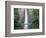 Bridge, Multnomah Falls, Columbia Gorge, Oregon, USA-Walter Bibikow-Framed Photographic Print