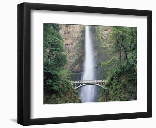 Bridge, Multnomah Falls, Columbia Gorge, Oregon, USA-Walter Bibikow-Framed Photographic Print