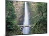 Bridge, Multnomah Falls, Columbia Gorge, Oregon, USA-Walter Bibikow-Mounted Photographic Print