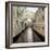 Bridge Of Sighs #1-Alan Blaustein-Framed Photographic Print