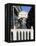 Bridge of Sighs Crossing Rio Del Palazzo, Venice, Veneto, Italy-Sergio Pitamitz-Framed Premier Image Canvas