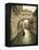 Bridge of Sighs, Doge's Palace, Venice, Italy-Jon Arnold-Framed Premier Image Canvas