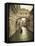 Bridge of Sighs, Doge's Palace, Venice, Italy-Jon Arnold-Framed Premier Image Canvas