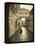 Bridge of Sighs, Doge's Palace, Venice, Italy-Jon Arnold-Framed Premier Image Canvas