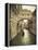 Bridge of Sighs, Doge's Palace, Venice, Italy-Jon Arnold-Framed Premier Image Canvas