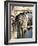 Bridge of Sighs, Venice, Italy-Lisa S. Engelbrecht-Framed Photographic Print