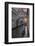 Bridge of Sighs, Venice, UNESCO World Heritage Site, Veneto, Italy, Europe-Angelo Cavalli-Framed Photographic Print