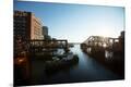 Photographic Print