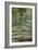 Bridge over a Pond of Water Lilies-Claude Monet-Framed Premium Giclee Print