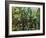 Bridge Over A Pond-Paul Cézanne-Framed Giclee Print