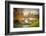 Bridge over Cam River, Cambridge University-sborisov-Framed Photographic Print