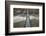 Bridge over Payette River, Idaho-Paul Souders-Framed Photographic Print