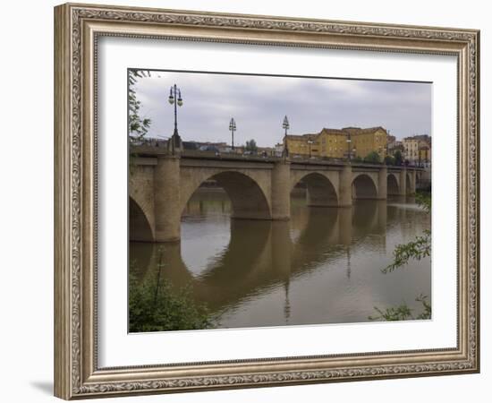 Bridge over Rio Ebro in Logrono, La Rioja, Spain-Janis Miglavs-Framed Photographic Print