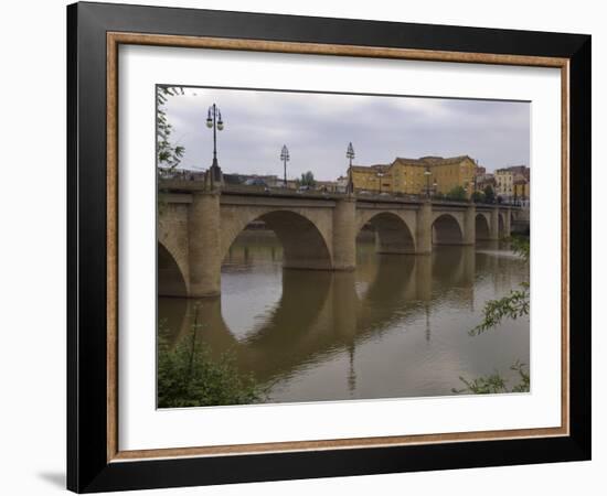 Bridge over Rio Ebro in Logrono, La Rioja, Spain-Janis Miglavs-Framed Photographic Print