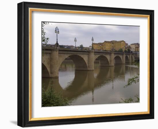 Bridge over Rio Ebro in Logrono, La Rioja, Spain-Janis Miglavs-Framed Photographic Print