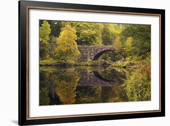 Bridge over River Conwy in Autumn, Near Betwys-Y-Coed, Wales, United Kingdom, Europe-Peter Barritt-Framed Photographic Print