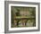 Bridge over the River and Chatsworth House, Derbyshire, England, United Kingdom, Europe-Christina Gascoigne-Framed Photographic Print