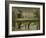 Bridge over the River and Chatsworth House, Derbyshire, England, United Kingdom, Europe-Christina Gascoigne-Framed Photographic Print