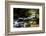 Bridge over the River Dart, Dartmoor NP, Devon, UK-Ross Hoddinott-Framed Photographic Print