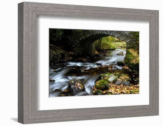 Bridge over the River Dart, Dartmoor NP, Devon, UK-Ross Hoddinott-Framed Photographic Print