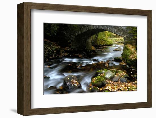 Bridge over the River Dart, Dartmoor NP, Devon, UK-Ross Hoddinott-Framed Photographic Print