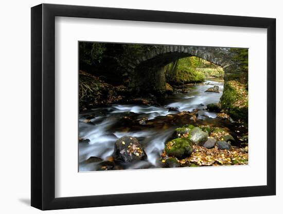 Bridge over the River Dart, Dartmoor NP, Devon, UK-Ross Hoddinott-Framed Photographic Print