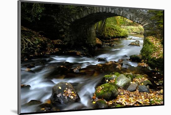 Bridge over the River Dart, Dartmoor NP, Devon, UK-Ross Hoddinott-Mounted Photographic Print