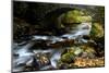 Bridge over the River Dart, Dartmoor NP, Devon, UK-Ross Hoddinott-Mounted Photographic Print