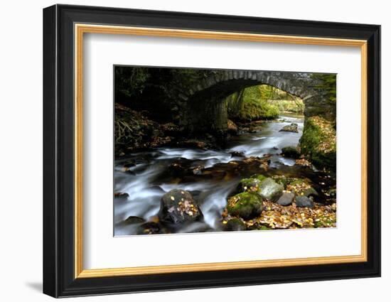 Bridge over the River Dart, Dartmoor NP, Devon, UK-Ross Hoddinott-Framed Photographic Print